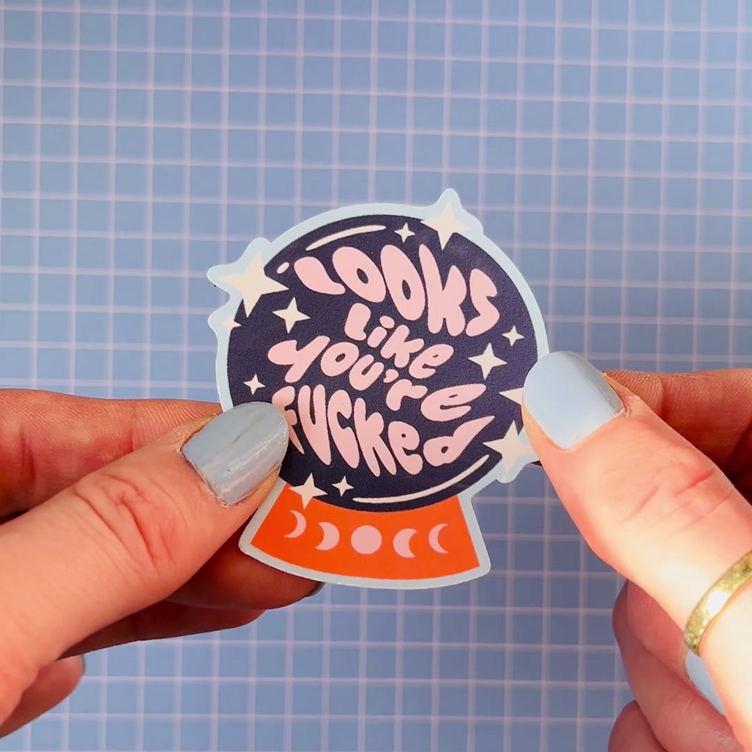 Looks Like You're Fucked Sticker