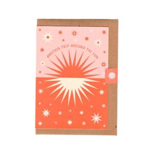 Another Trip Around the Sun